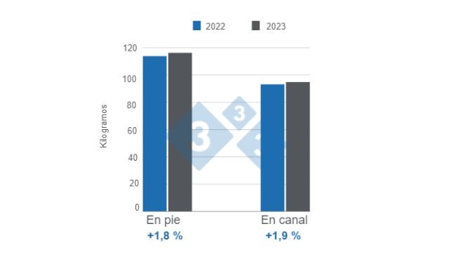 Gráfico 1. Peso promedio del cerdo en pie en y en canal para 2023, variaciones anuales. Elaborado por el Departamento de Economía e Inteligencia de Mercados de 333 Latinoamérica con datos del DANE. 