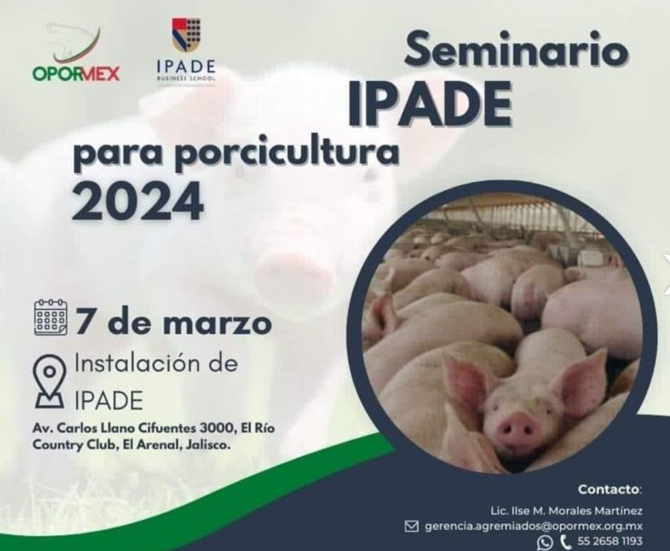 Seminario IPADE Para Porcicultura 2024 - Notas De Prensa Del Sector ...