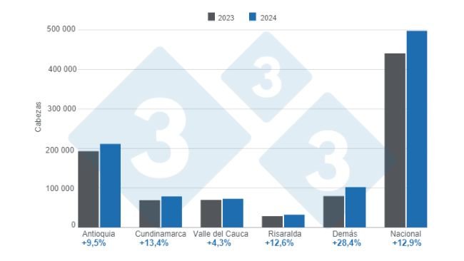 Gráfico 1. Beneficio de porcinos por departamento y total nacional - enero de 2024, variaciones anuales. Elaborado por el Departamento de Economía e Inteligencia de Mercados de 333 Latinoamérica con datos del DANE. 