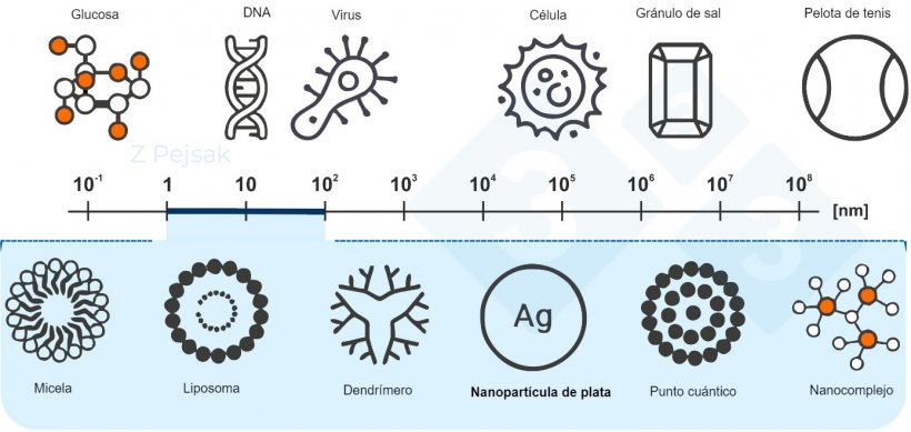 Figura 2. Escala nanom&eacute;trica
