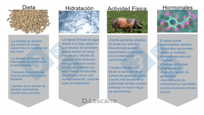 Figura 1. Principales causas y factores de constipaci&oacute;n o estre&ntilde;imiento.
