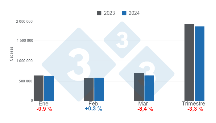 Gr&aacute;fico 1. Faena mensual de porcinos en el primer trimestre de 2024, variaciones anuales.&nbsp;Elaborado por el Departamento de Econom&iacute;a e Inteligencia de Mercados de 333 Latinoam&eacute;rica con datos de la Secretar&iacute;a de Agricultura, Ganader&iacute;a y Pesca del Ministerio de Econom&iacute;a de Argentina.&nbsp;
