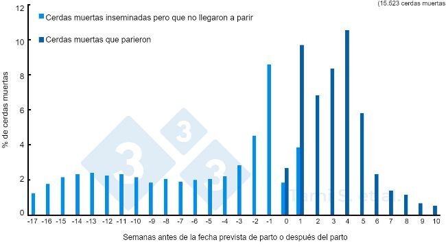 Figura 1. Frequencias relativas (%) de cerdas muertas, antes o después del parto, de un total de 7778 cerdas inseminadas más 7745 cerdas paridas. Fuente: Tami S. et al. 2017
