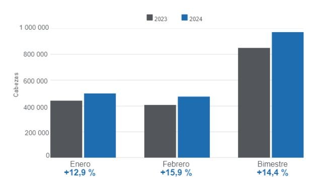 Gráfico 1. Beneficio mensual de porcinos en el primer bimestre de 2024, variaciones anuales. Elaborado por el Departamento de Economía e Inteligencia de Mercados de 333 Latinoamérica con datos del DANE 