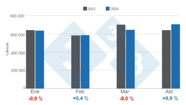 Gráfico 1. Faena mensual de porcinos en el período enero - abril de 2024, variaciones anuales. Elaborado por el Departamento de Economía e Inteligencia de Mercados de 333 Latinoamérica con datos de la Secretaría de Agricultura, Ganadería y Pesca del Ministerio de Economía de Argentina. 