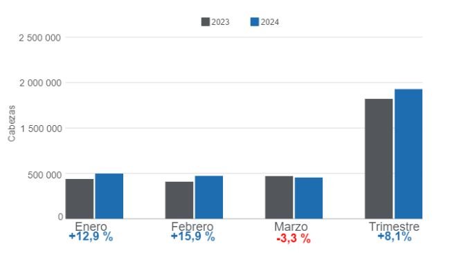 Gráfico 1. Beneficio mensual de porcinos en el trimestre de 2024, variaciones anuales. Elaborado por el Departamento de Economía e Inteligencia de Mercados de 333 Latinoamérica con datos del DANE. 