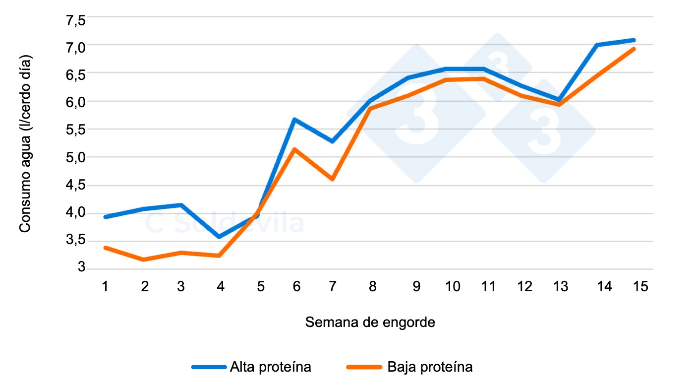 Figura 1. Evoluci&oacute;n del consumo de agua por tratamientos a lo largo del engorde.
