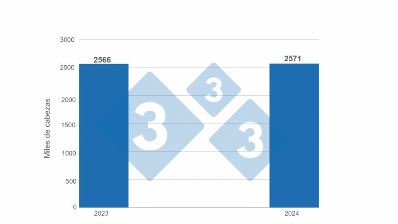 Gr&aacute;fico 1. Evoluci&oacute;n beneficio.
