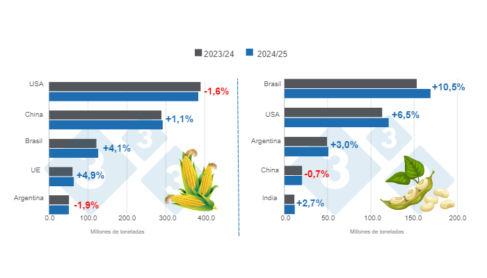 Gr&aacute;fico 1. Proyecci&oacute;n de cosecha para los principales productores mundiales de ma&iacute;z y soya - campa&ntilde;a 2024/25 versus ciclo 2023/24.&nbsp;Elaborado por el Departamento de Econom&iacute;a e Inteligencia de Mercados con datos de FAS &ndash; USDA.&nbsp;
