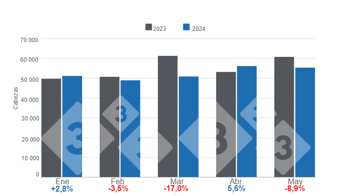 Gr&aacute;fico 1. Beneficio mensual de porcinos para el per&iacute;odo enero &ndash; mayo de 2024, variaciones anuales.&nbsp;&nbsp;Elaborado por el Departamento de Econom&iacute;a e Inteligencia de Mercados de 333 Latinoam&eacute;rica con datos del Instituto Nacional de Estad&iacute;stica y Censo &ndash; Panam&aacute; (INEC).&nbsp;
