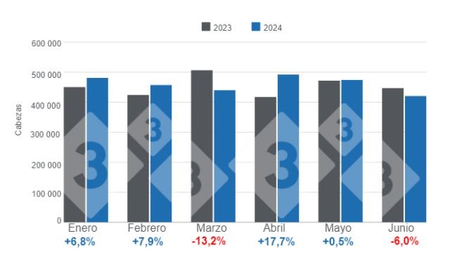 Gráfico 1. Beneficio mensual de carne de cerdo en el primer semestre de 2024 – variaciones anuales. Elaborado por el Departamento de Economía e Inteligencia de Mercados con datos de la Oficina de Estudios y Políticas Agrarias de Chile (ODEPA). 