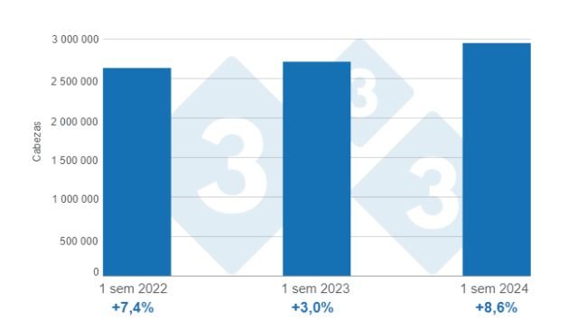 Gráfico 1. Beneficio de porcinos acumulado en el primer semestre de los últimos tres años, variaciones anuales. Elaborado por el Departamento de Economía e Inteligencia de Mercados de 333 Latinoamérica con datos del DANE. 