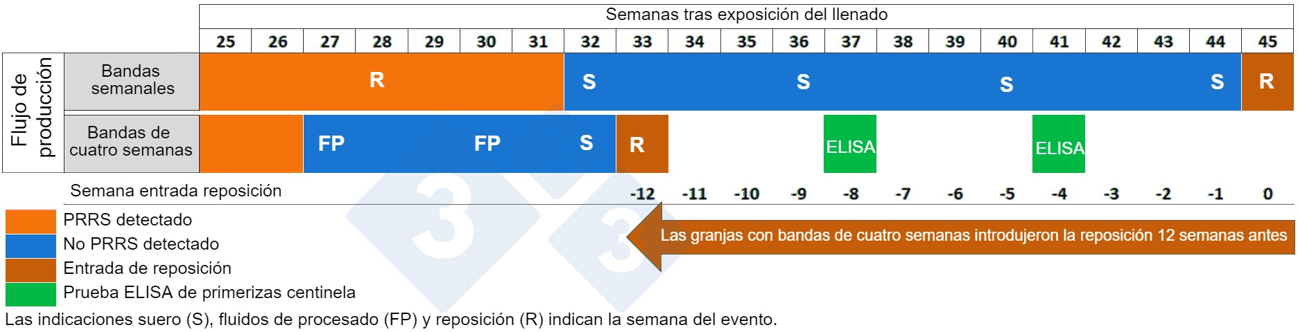 Comparación de la entrada de reposición entre granjas con bandas semanales y bandas a cuatro semanas