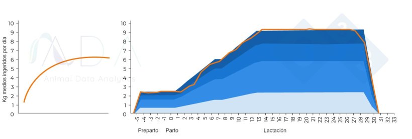 Figura 1. Patr&oacute;n te&oacute;rico &oacute;ptimo de ingesta de la cerda en lactaci&oacute;n y resultados en la pr&aacute;ctica
