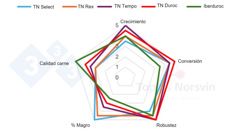 Figura 1. Caracter&iacute;sticas L&iacute;neas de finalizadores Topigs Norsvin.