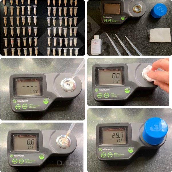 Foto 1. Uso de refractómetros digitales para la medición indirecta de la concentración de inmunoglobulinas.