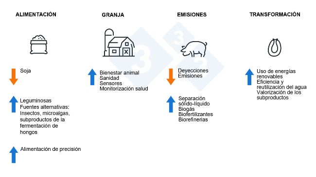 &iquest;C&oacute;mo hacer el sector porcino m&aacute;s sostenible?