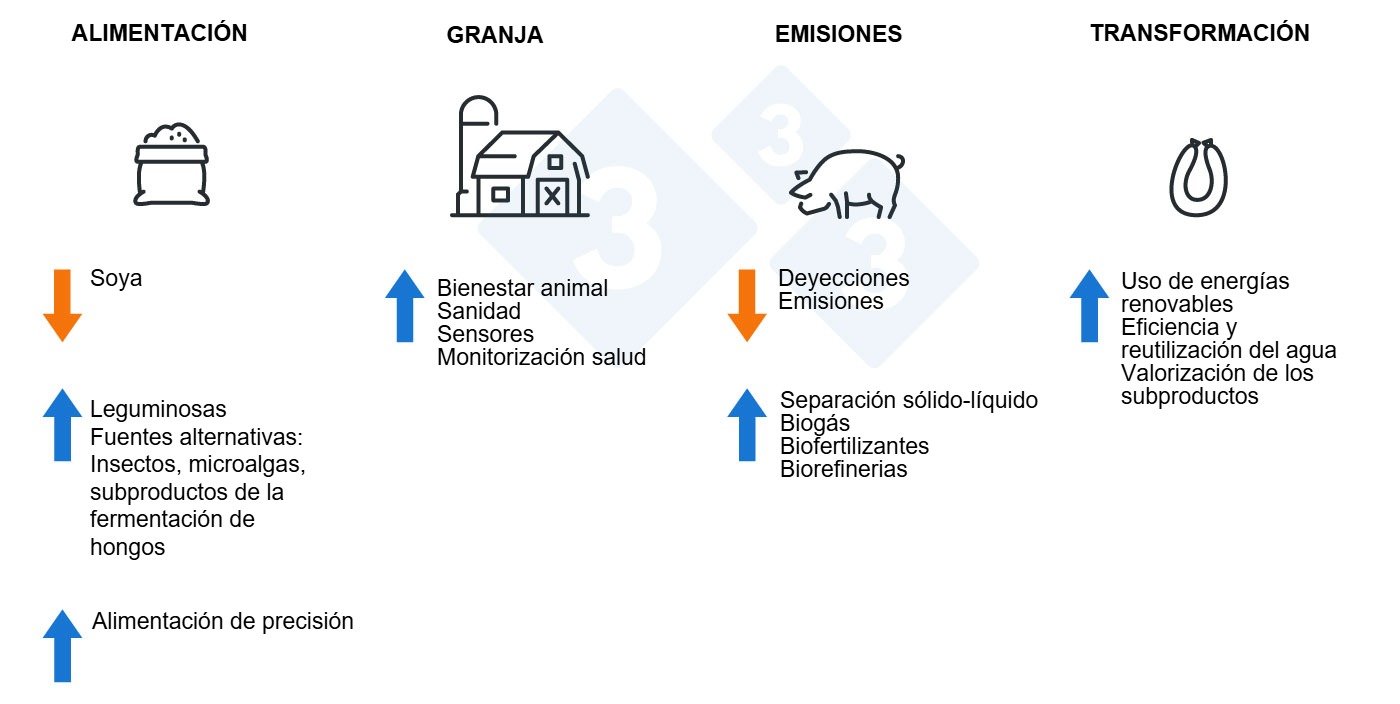 ¿Cómo hacer el sector porcino más sostenible?