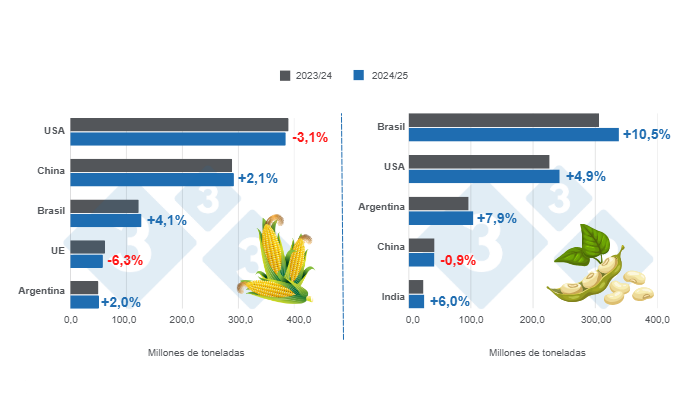 Gráfico 1: Proyección de cosecha para los principales productores mundiales de maíz y soya - Campaña 2024/25 versus ciclo 2023/24 - Última actualización: 10 de enero de 2025 

Elaborado por el Departamento de Economía y Sostenibilidad 333 Latinoamérica con datos de FAS – USDA