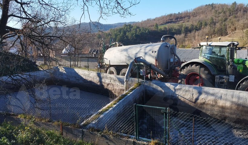 Recogida de pur&iacute;n de una balsa de almacenaje en una granja de porcino.
