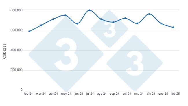 Gráfico 1: Evolución de la faena mensual de porcinos en los últimos 12 meses.
Elaborado por el Departamento de Economía y Sostenibilidad de 333 Latinoamérica con datos de la Secretaría de Agricultura, Ganadería y Pesca del ministerio del Ministerio de Economía de Argentina