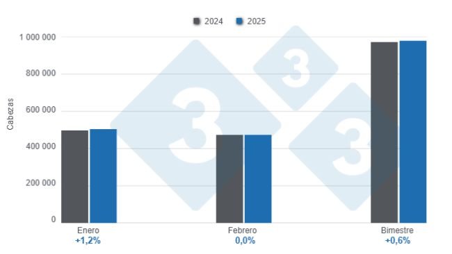 Gráfico 1: Beneficio de porcinos en el primer bimestre de 2025, variaciones anuales
Elaborado por el Departamento de Economía y Sostenibilidad de 333 Latinoamérica con datos del DANE.
