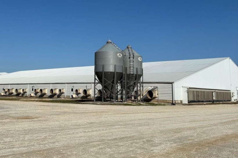 Figura 1: Imagen de una de las bodegas de la unidad visitada.