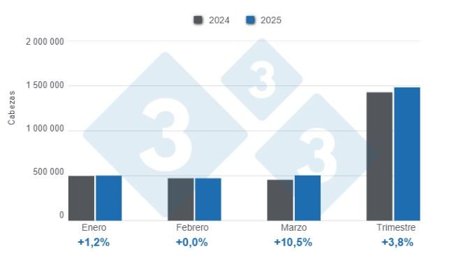 Gráfico 1: Beneficio de porcinos en el primer trimestre de 2025, variaciones anuales
Elaborado por el Departamento de Economía y Sostenibilidad de 333 Latinoamérica con datos del DANE.