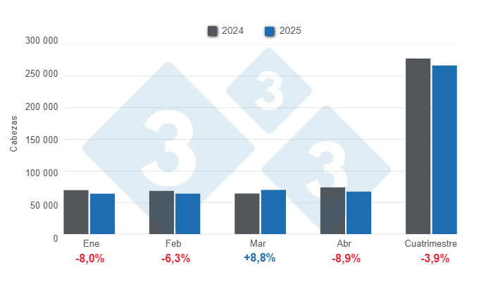 Gr&aacute;fico 1: Beneficio mensual de porcinos en el primer cuatrimestre de 2025 &ndash; variaciones anuales. 

Elaborado por el Departamento de Econom&iacute;a y Sostenibilidad de 333 Latinoam&eacute;rica con datos de CAPORC y CNP