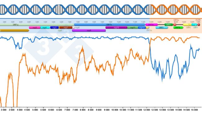 Figura 1: Representaci&oacute;n de una recombinaci&oacute;n que genera un nuevo virus. La regi&oacute;n anterior y posterior a los puntos de intersecci&oacute;n de las dos l&iacute;neas indica la&nbsp;porci&oacute;n&nbsp;de genomas recibidos de los dos virus parentales. Las regiones del genoma se muestran en la parte superior.
