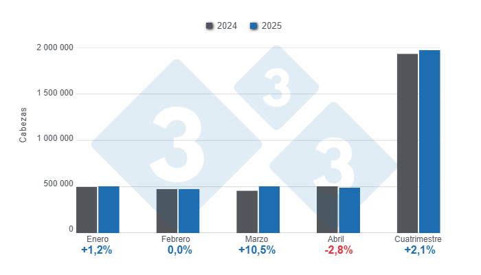 Gr&aacute;fico 1: Beneficio de porcinos en el primer cuatrimestre de 2025, variaciones anuales 

Elaborado por el Departamento de Econom&iacute;a y Sostenibilidad de 333 Latinoam&eacute;rica con datos del DANE.