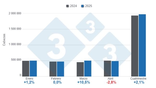 Gráfico 1: Beneficio de porcinos en el primer cuatrimestre de 2025, variaciones anuales
Elaborado por el Departamento de Economía y Sostenibilidad de 333 Latinoamérica con datos del DANE.
