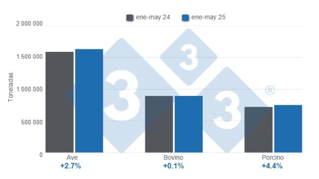 Gráfico 1: Producción de carne de ave, bovino y porcino acumulada en el período enero – mayo de 2025, variaciones anuales.
Elaborado por el Departamento de Economía y Sostenibilidad de 333 Latinoamérica con datos del Servicio de Información Agroalimentaria y Pesquera (SIAP)