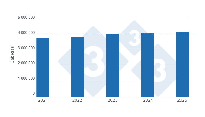 Gr&aacute;fico 1: Faena de porcinos en el primer semestre de los &uacute;ltimos cinco a&ntilde;os. 

Elaborado por el Departamento de Econom&iacute;a y Sostenibilidad de 333 Latinoam&eacute;rica con datos de la Secretar&iacute;a de Agricultura, Ganader&iacute;a y Pesca del Ministerio de Econom&iacute;a de Argentina