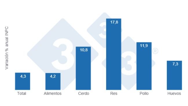 Gráfico 1: Variaciones porcentuales anuales del INPC total, alimentos y principales proteínas de origen animal - junio de 2025.
Elaborado por el Departamento de Economía y Sostenibilidad de 333 Latinoamérica con datos del Servicio de Información Agroalimentaria y Pesquera (SIAP)