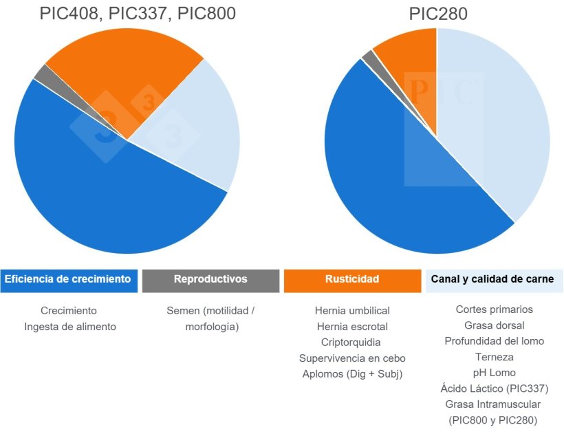 Objetivos de Selecci&oacute;n en las L&iacute;neas Terminales PIC
