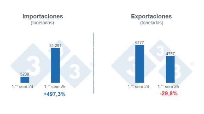 Gráfico 1: Volumen de las importaciones y exportaciones porcinas en el primer semestre de 2025, variaciones anuales.
Elaborado por el Departamento de Economía y Sostenibilidad de 333 Latinoamérica con datos de la Secretaría de Agricultura, Ganadería y Pesca del Ministerio de Economía de Argentina