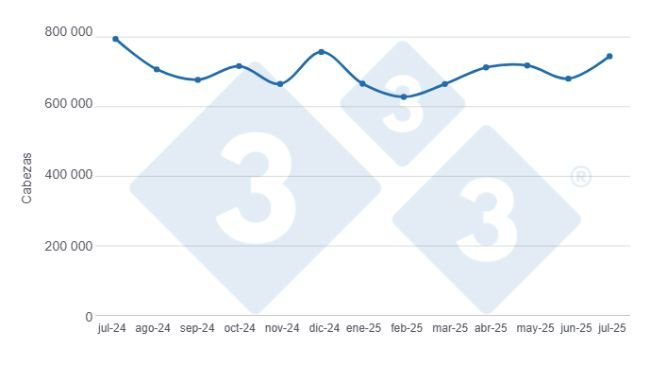 Gráfico 1: Evolución de la faena de porcinos en los últimos 12 meses.
Elaborado por el Departamento de Economía y Sostenibilidad de 333 Latinoamérica con datos de la Secretaría de Agricultura, Ganadería y Pesca del Ministerio de Economía de Argentina.
