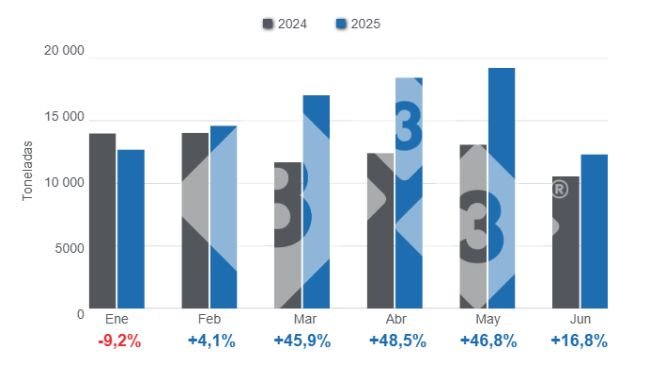 Gráfico 1: Importaciones mensuales de productos y subproductos de cerdo en el primer semestre de 2025, variaciones anuales. Elaborado por el Departamento de Economía y Sostenibilidad de 333 Latinoamérica con datos del DANE.