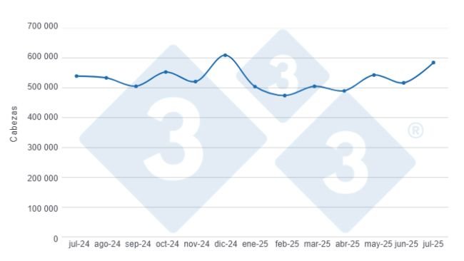 Gráfico 1: Evolución del beneficio de porcinos en los últimos 12 meses.
Elaborado por el Departamento de Economía y Sostenibilidad de 333 Latinoamérica con datos del DANE.