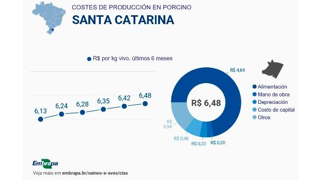 Costos de producción durante el segundo semestre de 2025 en el estado brasileño de Santa Catarina. Fuente: Embrapa.