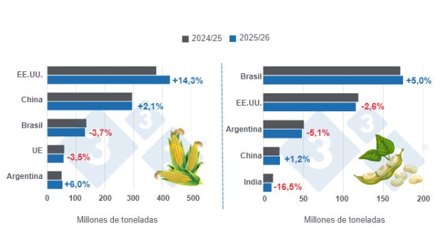 Gráfico 1: Proyección de cosecha para los principales productores mundiales de maíz y soya - campaña 2025/26 versus ciclo 2024/25 - última actualización: 10 de febrero de 2026.
Elaborado por el Departamento de Economía y Sostenibilidad de 333 Latinoamérica con datos de FAS - USDA