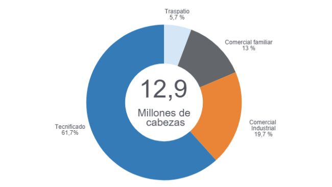 Gráfico 1: Participación de los estratos productivos en el inventario nacional de porcinos 2026 Elaborado por el Departamento de Economía y Sostenibilidad de 333 Latinoamérica con datos de Porkcolombia - Programa de Erradicación de la Peste Porcina Clásica PPC