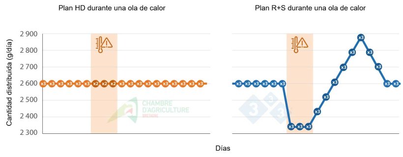 Ejemplo de plan de alimentaci&oacute;n durante una ola de calor. Fuente: CAB.
