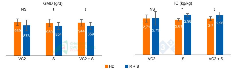 Figura 2: GMD e IC durante la segunda ola de calor del lote 1 (VC2), durante la fase de sobrealimentaci&oacute;n (S) que le sigui&oacute;, y el acumulado de ambas fases (VC2 + S).
