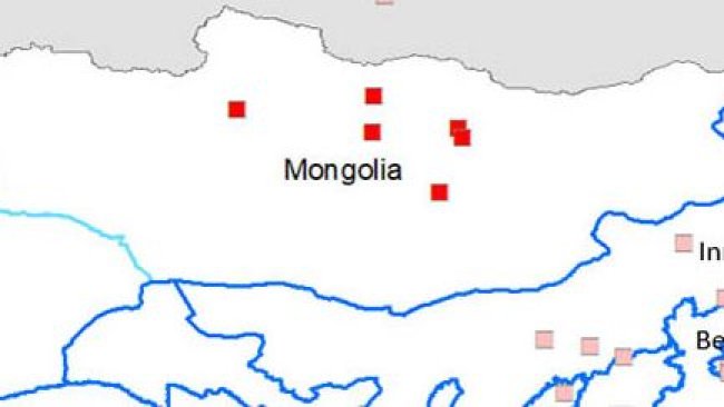 Provincias afectadas: Bulgan, Orkhon, Tuv y Dundgovi así como en el distrito de Bayangol, en Ulaanbaatar.