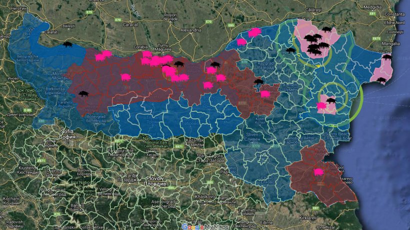 Total de focos de PPA en Bulgaria