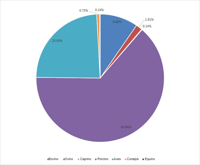 Producción de carne en España en 2019