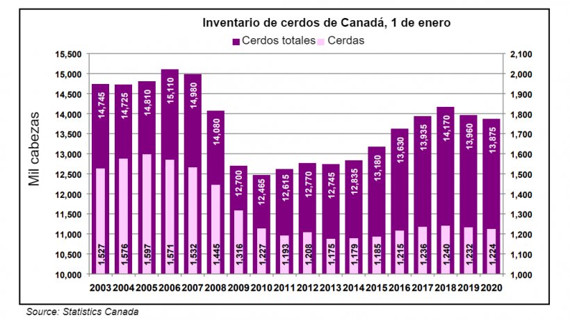 Canad&aacute; 1 de enero inventario de cerdos y cerdas por a&ntilde;o
