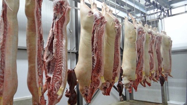 carne
